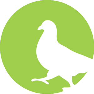 problema de palomas en gipuzkoa